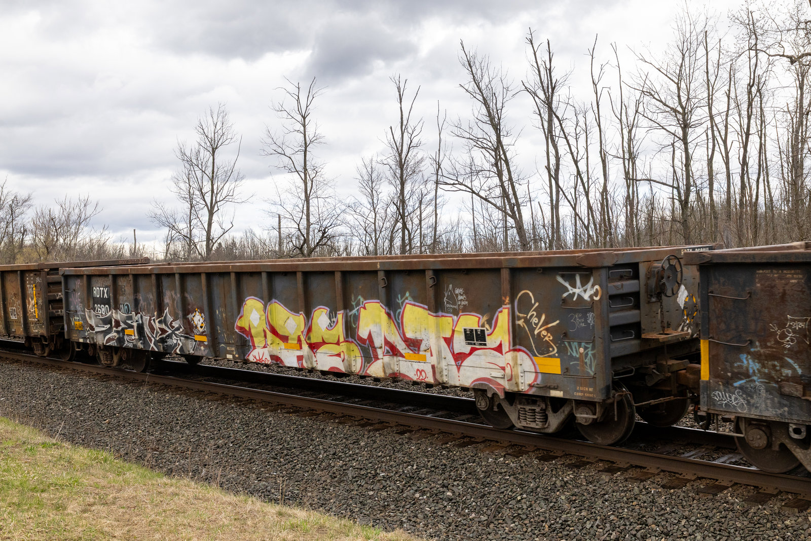 RDTX 268011