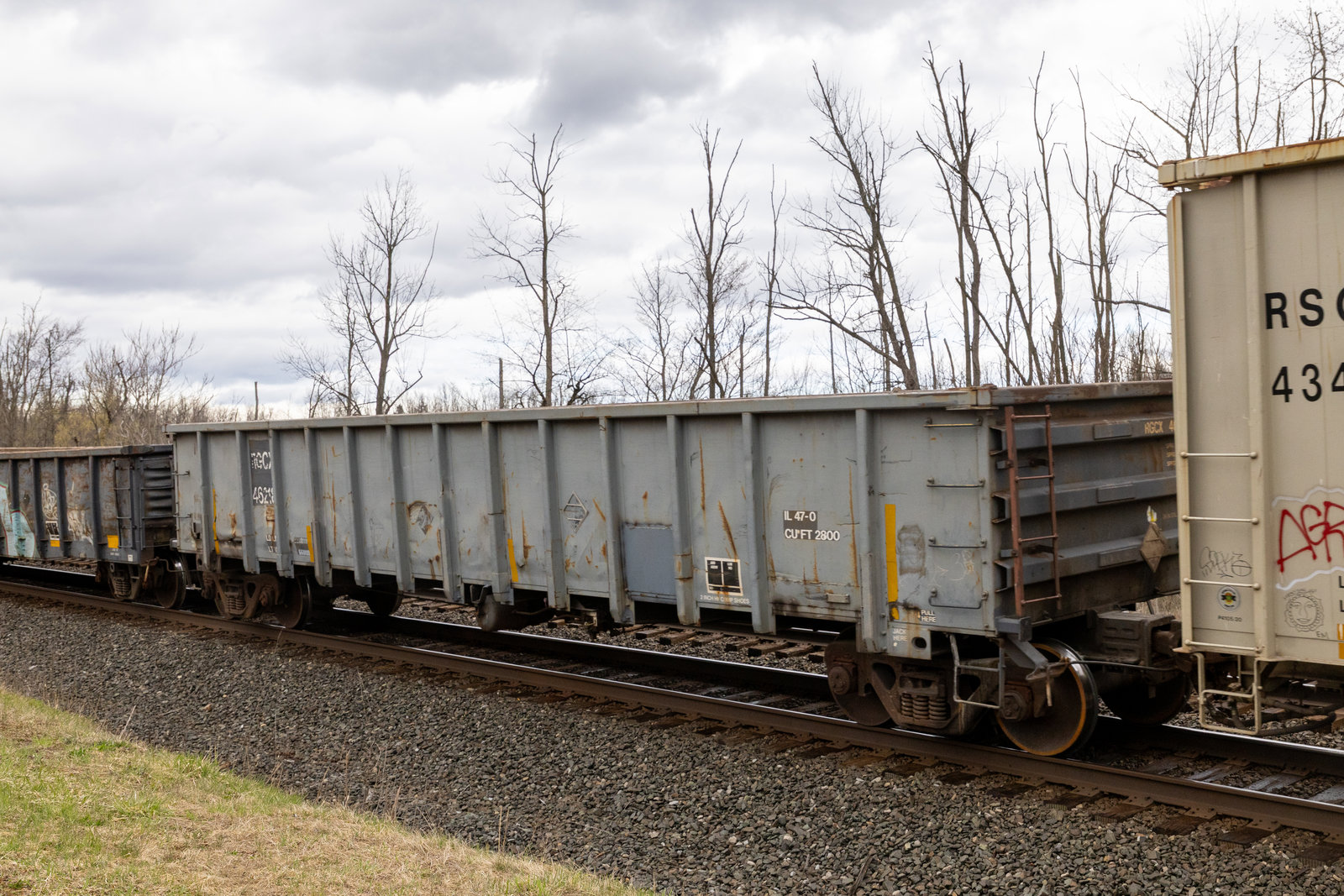 RGCX 46218