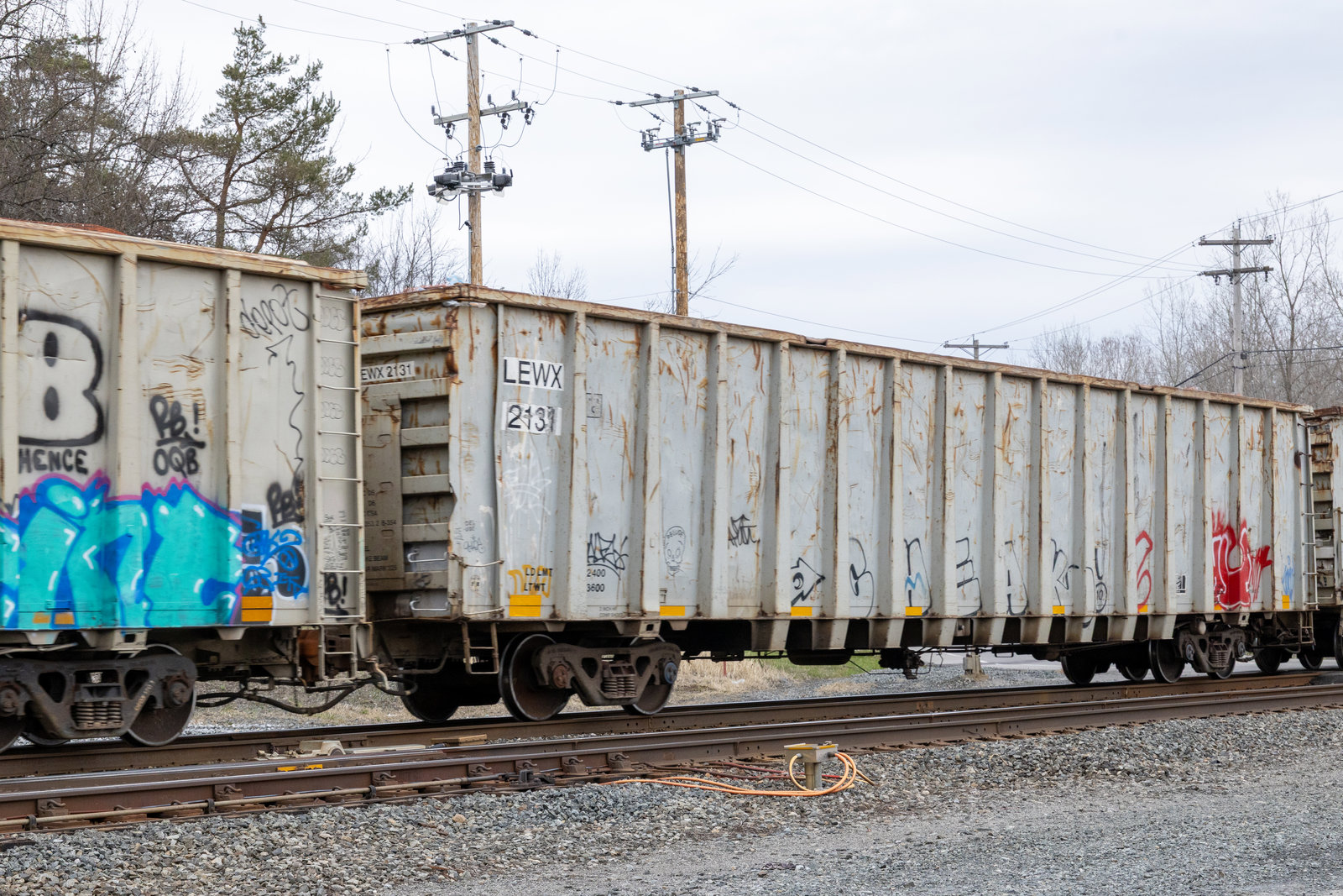 LEWX 2131