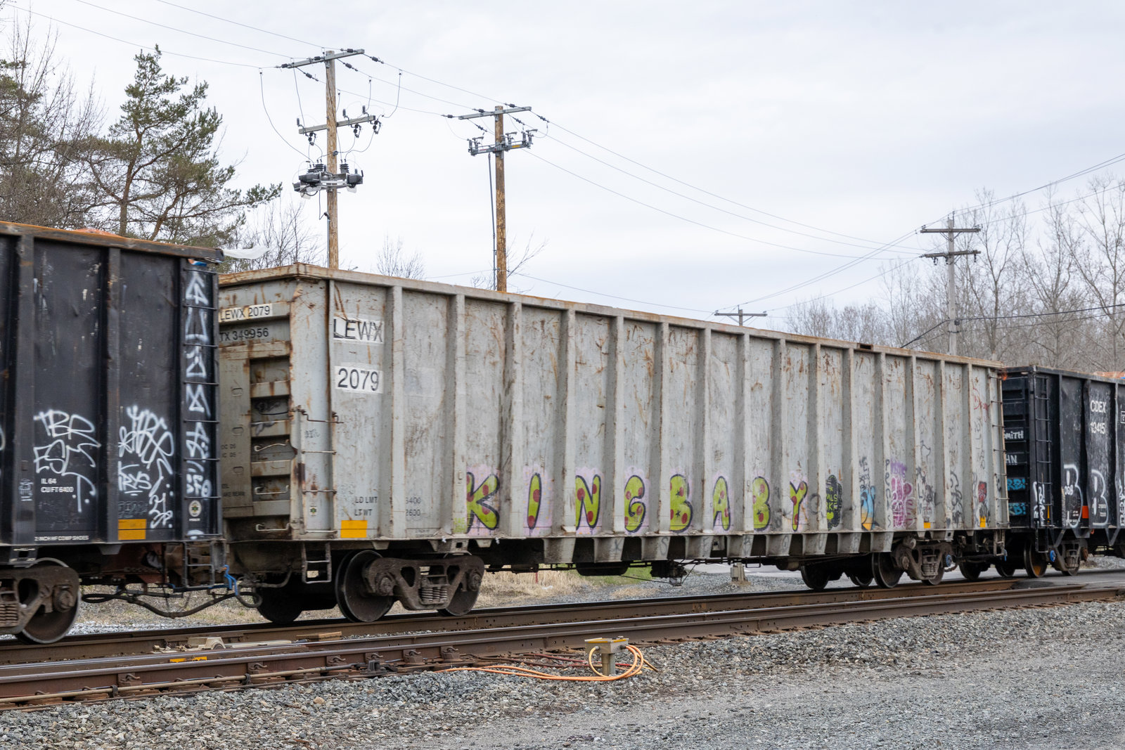 LEWX 2079