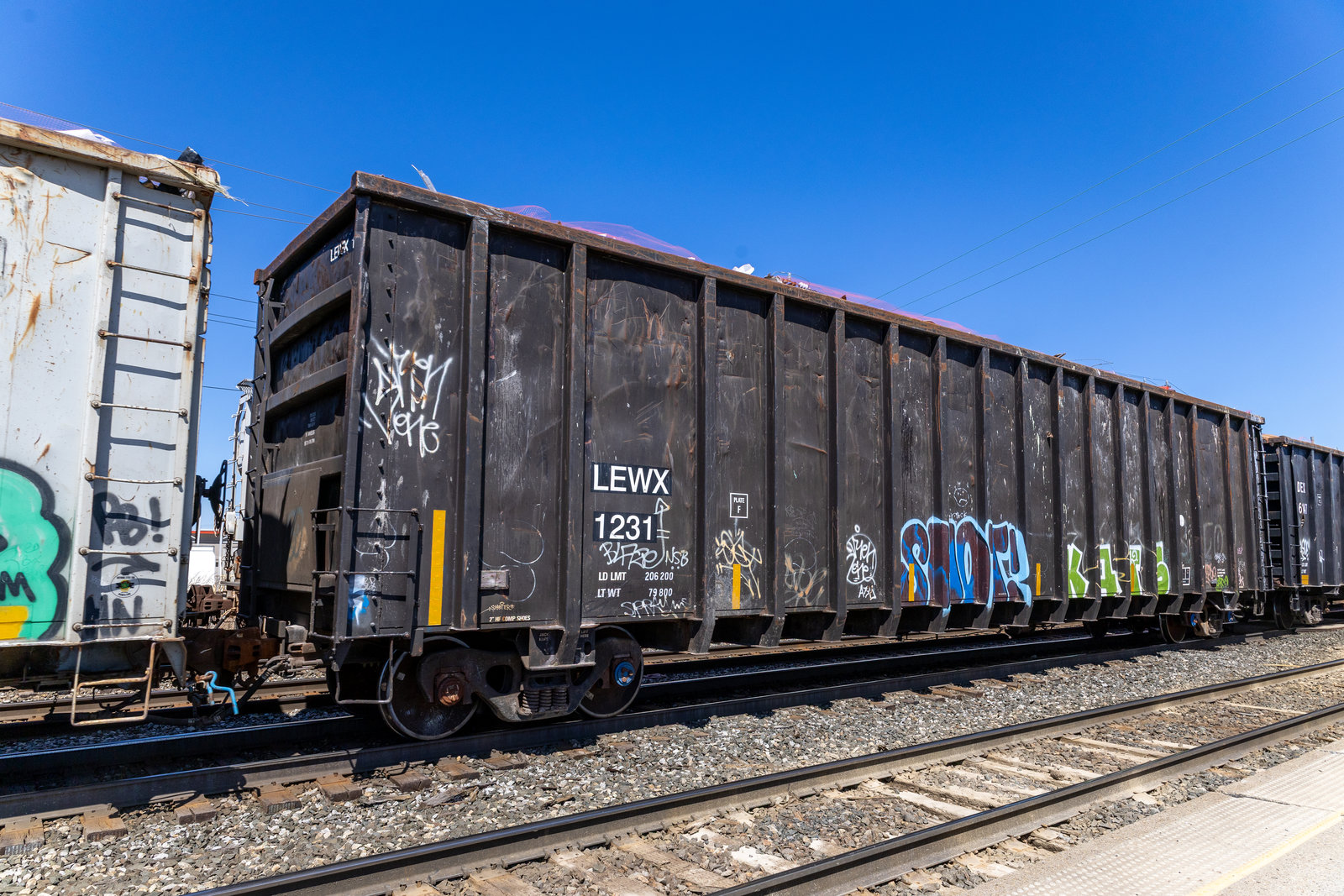 LEWX 1231