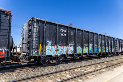 CDEX 19011