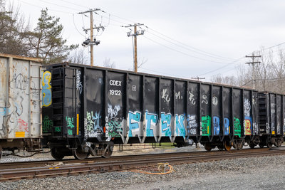 CDEX 19122