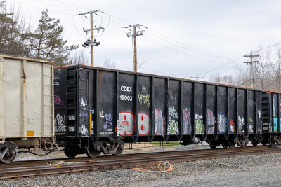 CDEX 19003