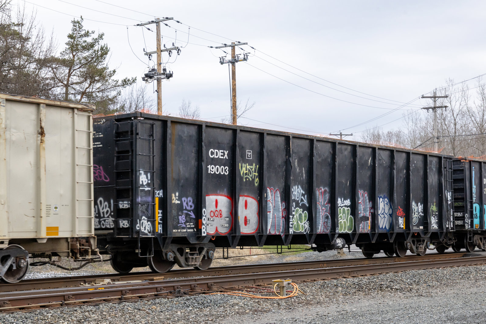 CDEX 19003