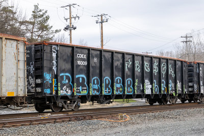 CDEX 19309