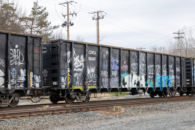 CDEX 19247