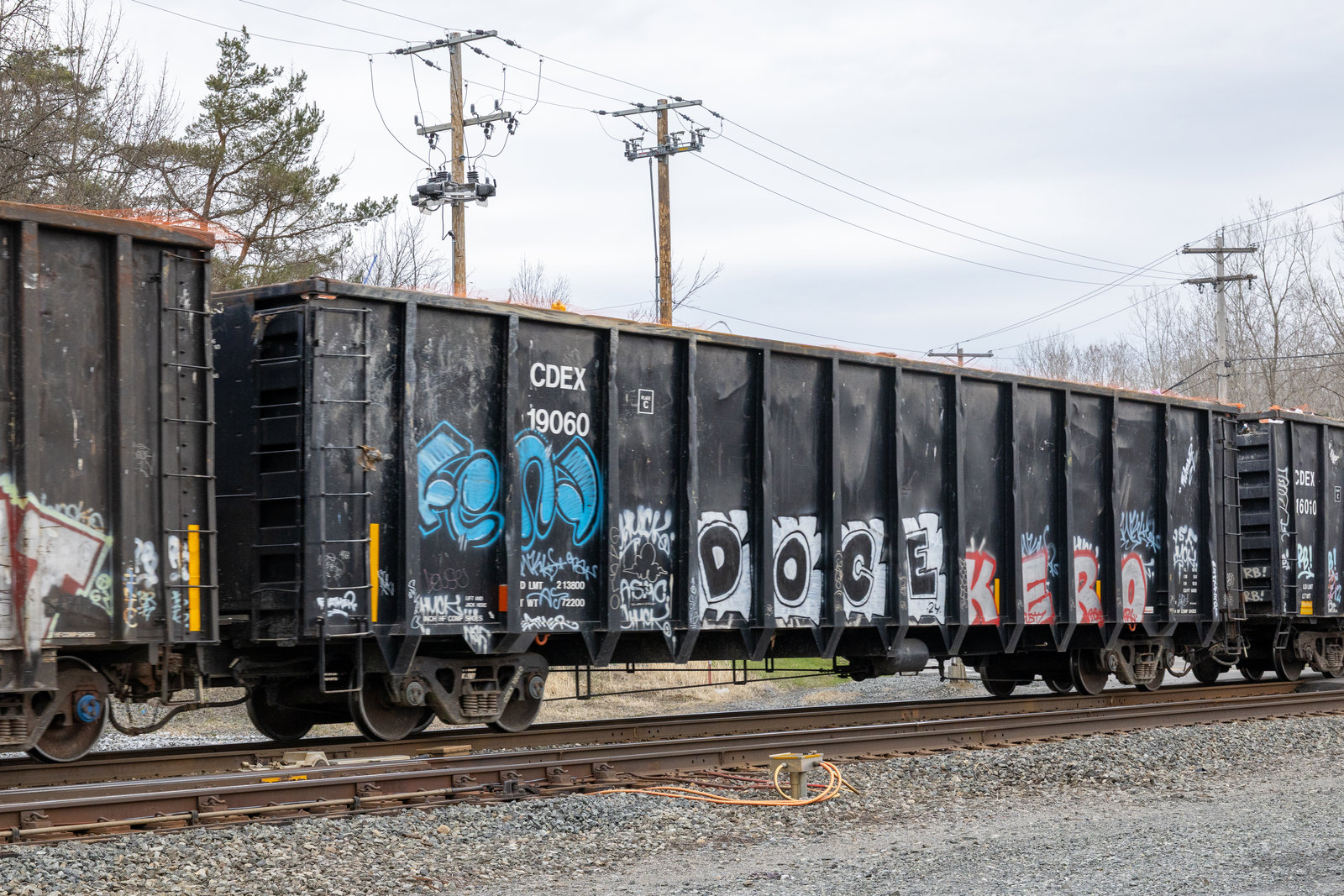 CDEX 19060