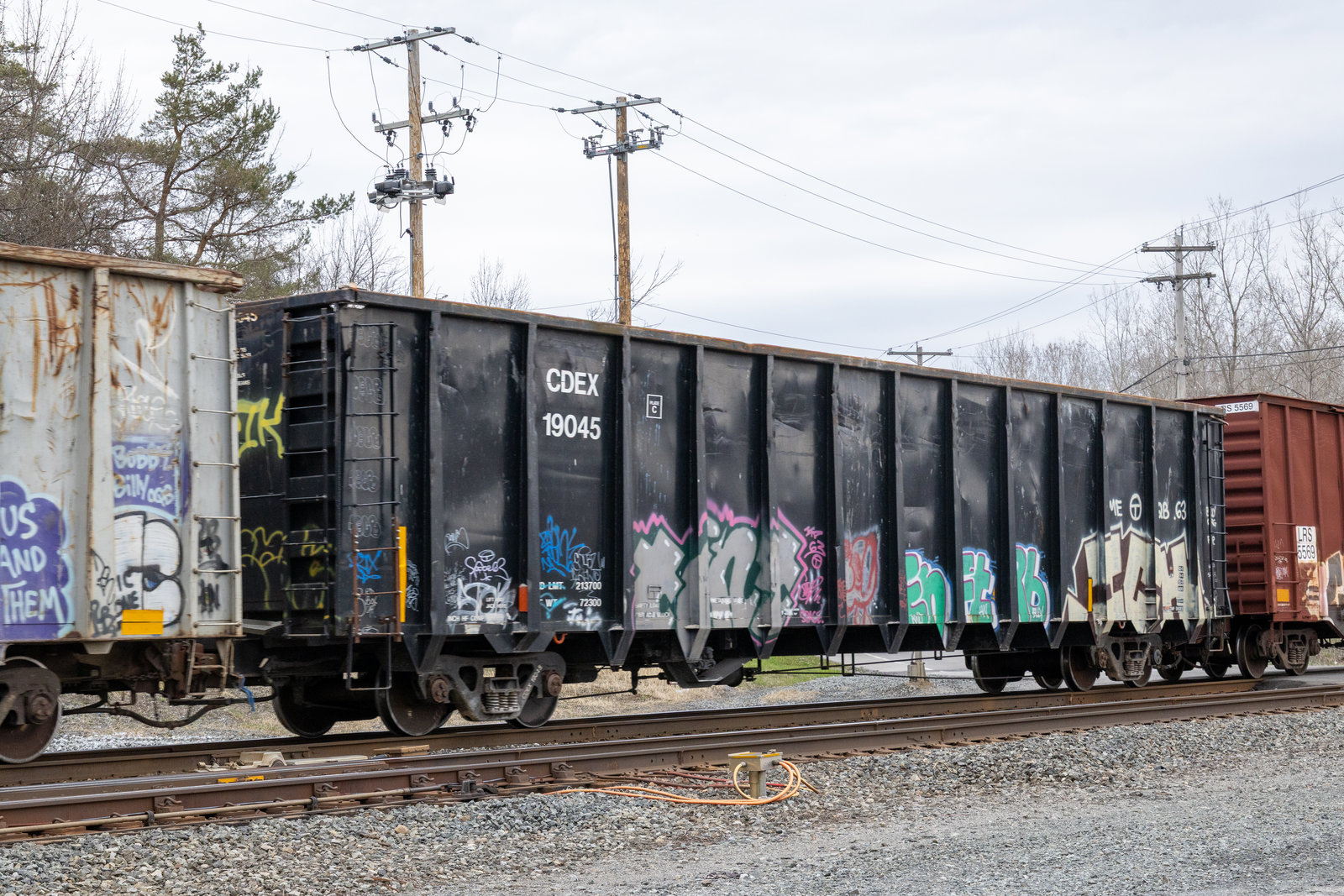 CDEX 19045