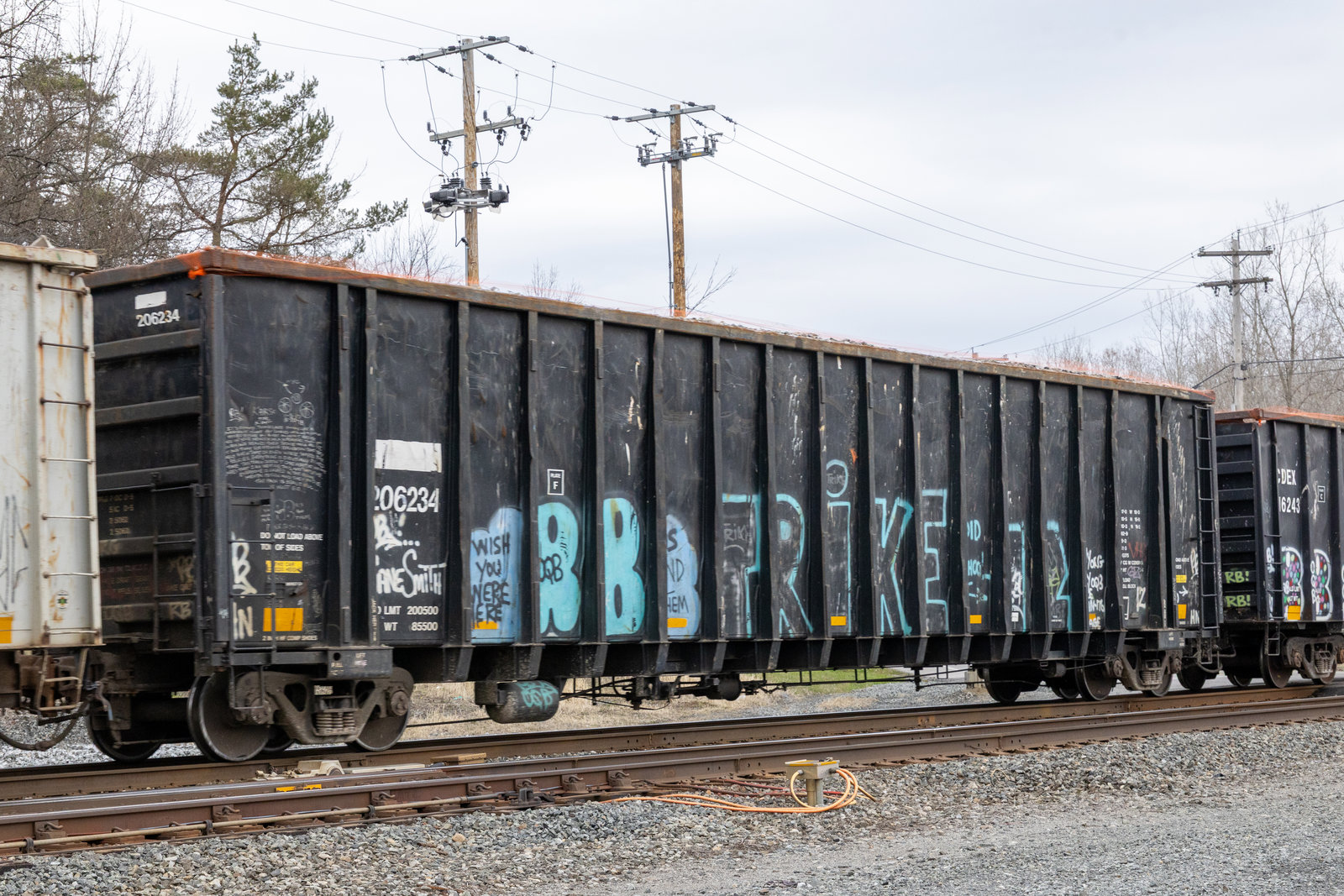 CDEX 206234