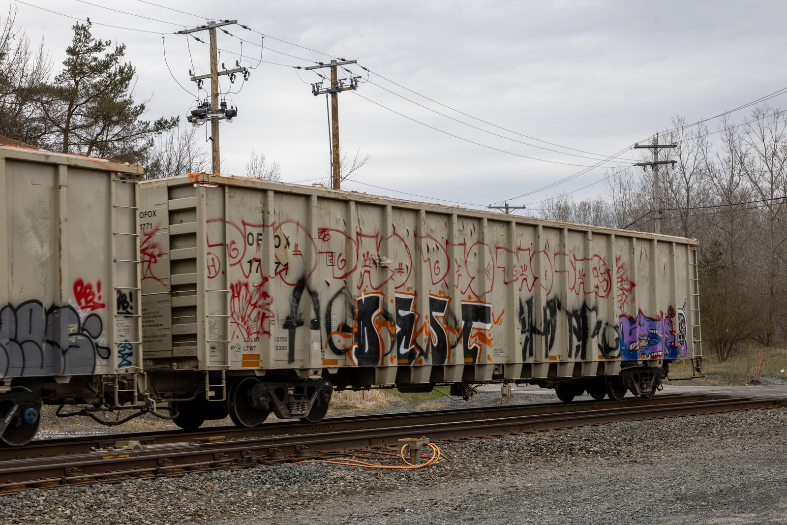 OFOX 1771