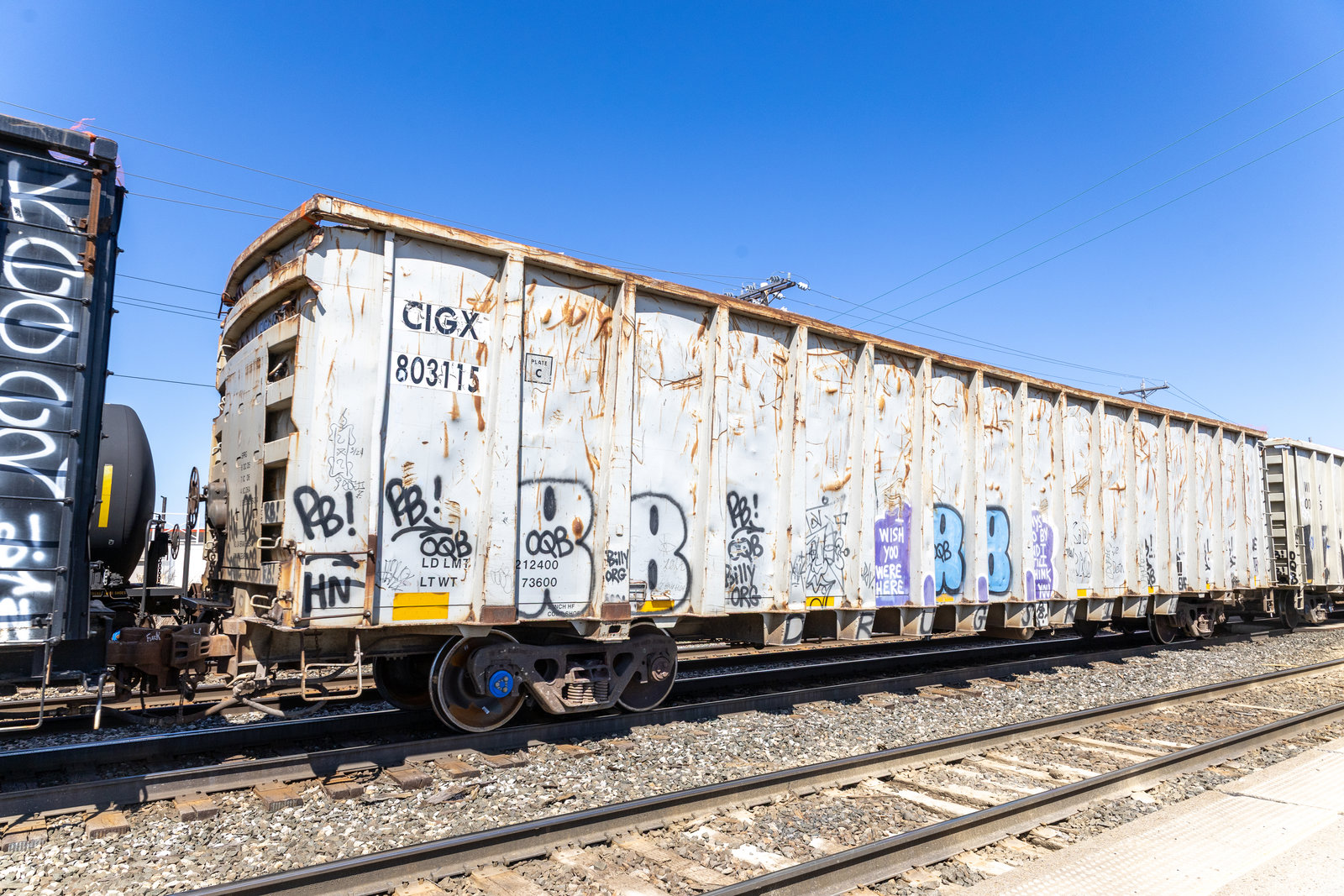 CIGX 803115