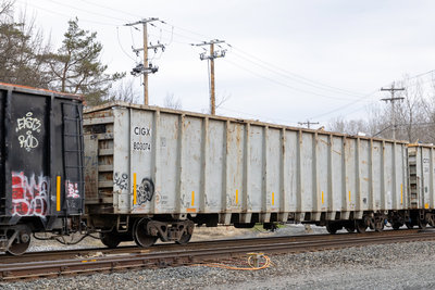 CIGX 803074