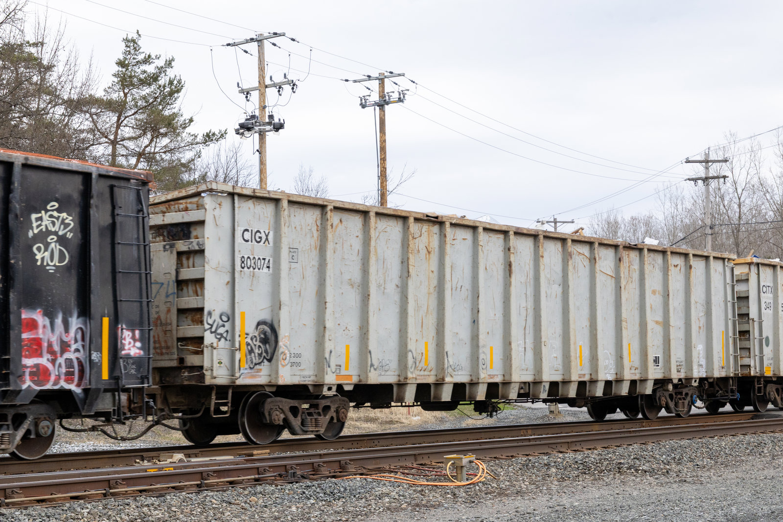 CIGX 803074