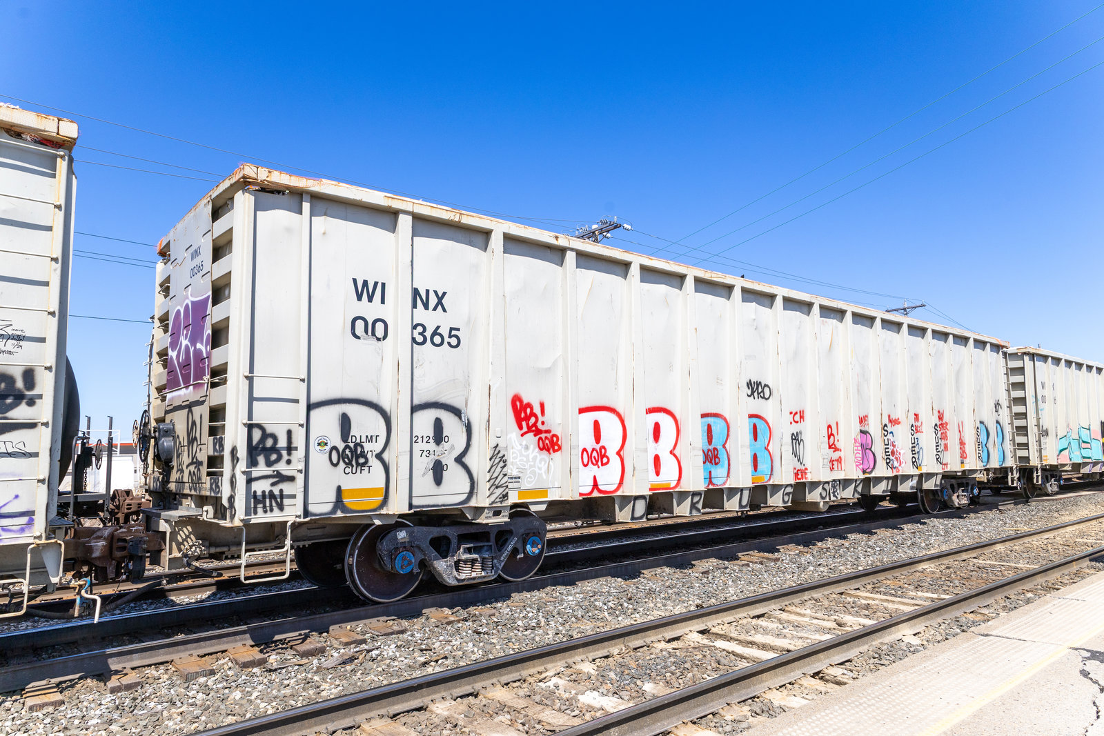 WINX 00365