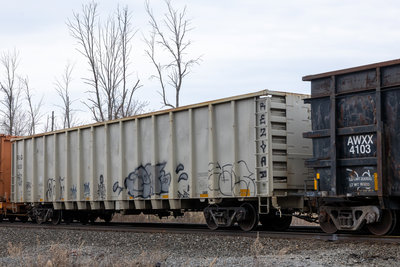 RSGX 4301