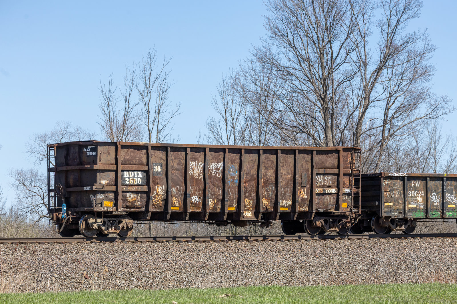 RDTX 268036