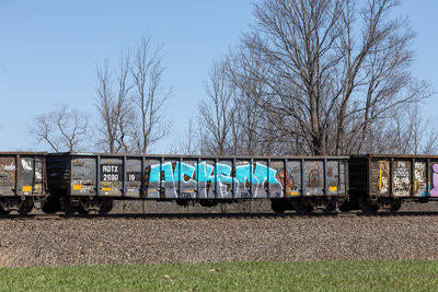 RDTX 268019