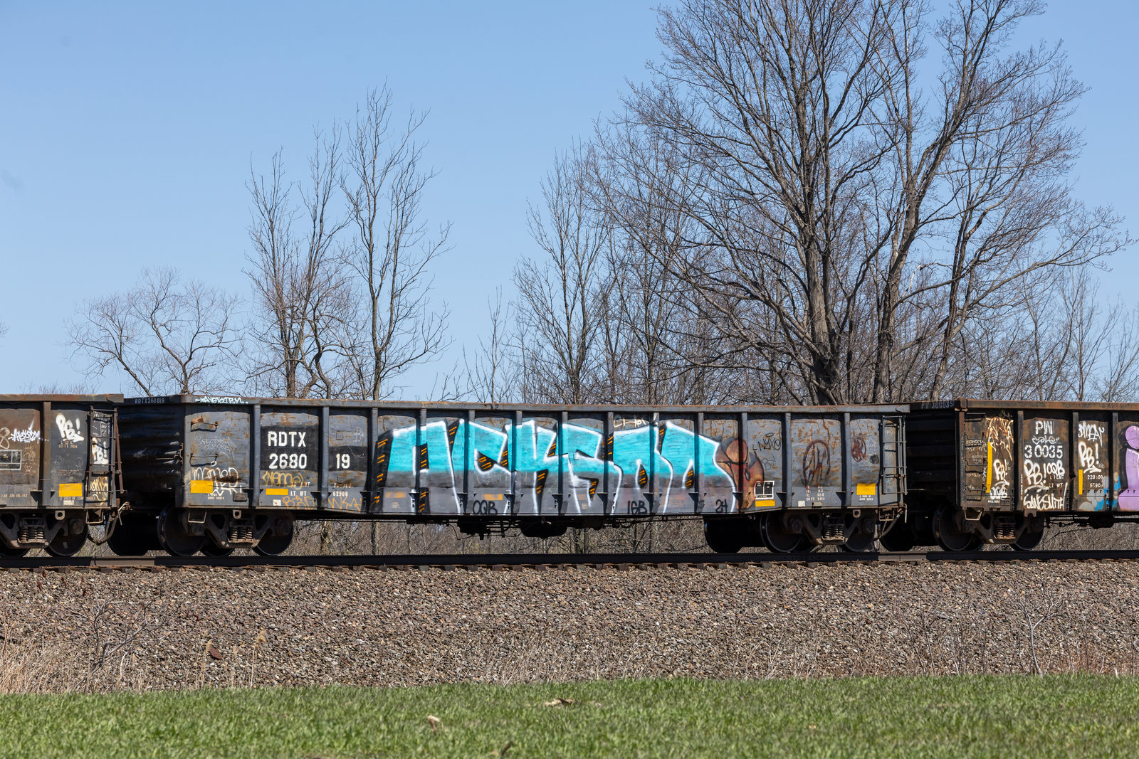 RDTX 268019
