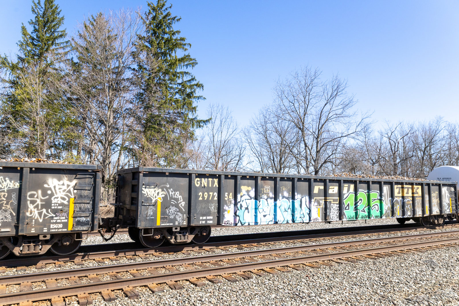 GNTX 297254