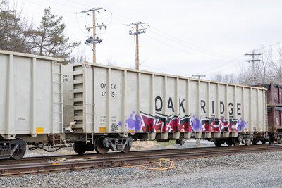 OAKX 0113