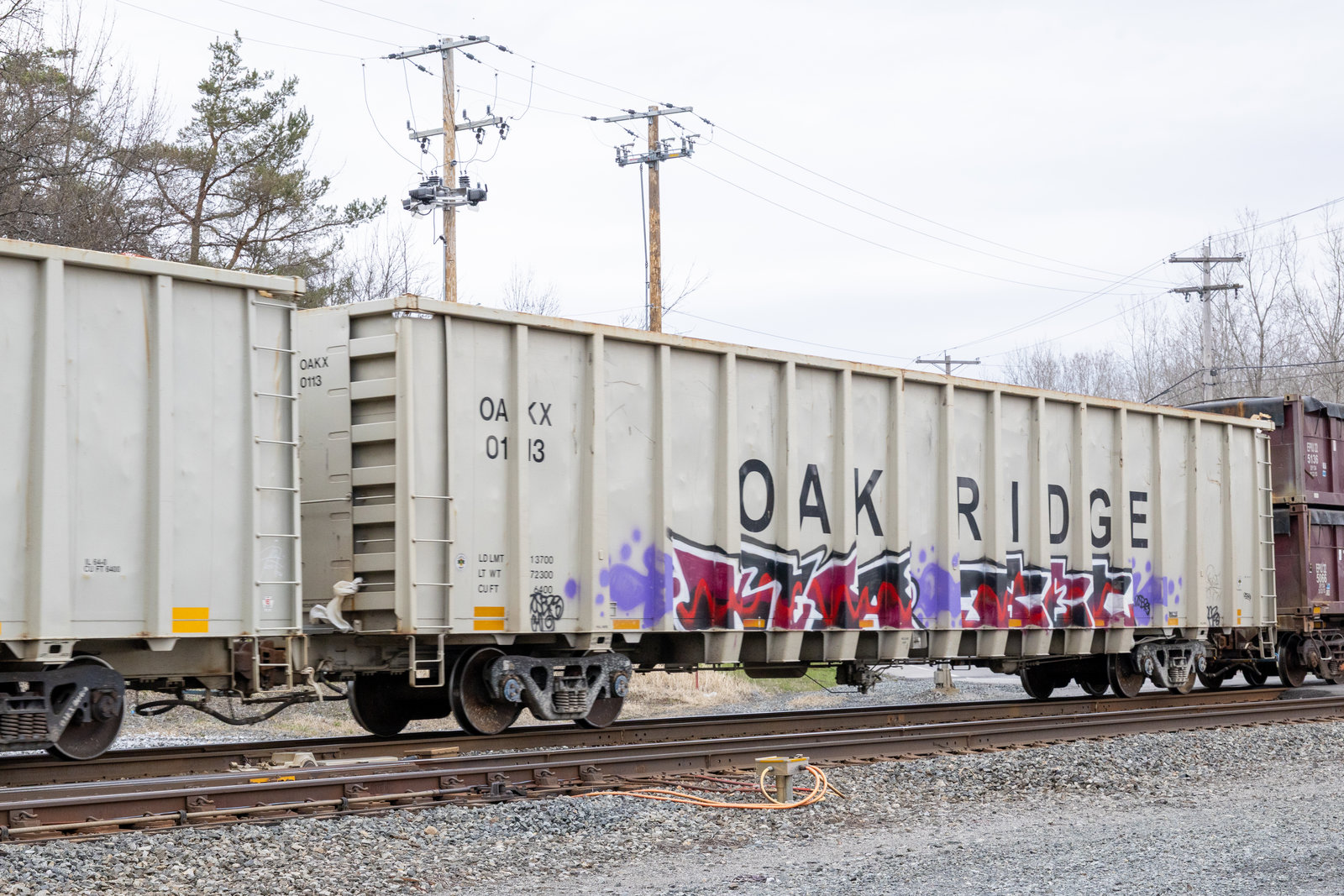 OAKX 0113