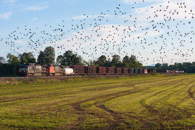 CP 931 @ Chazy, NY