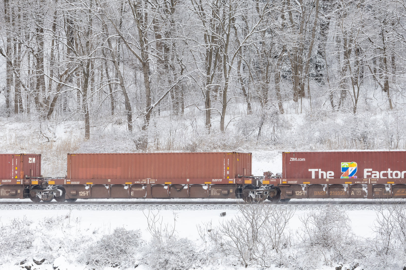 BNSF 239356E