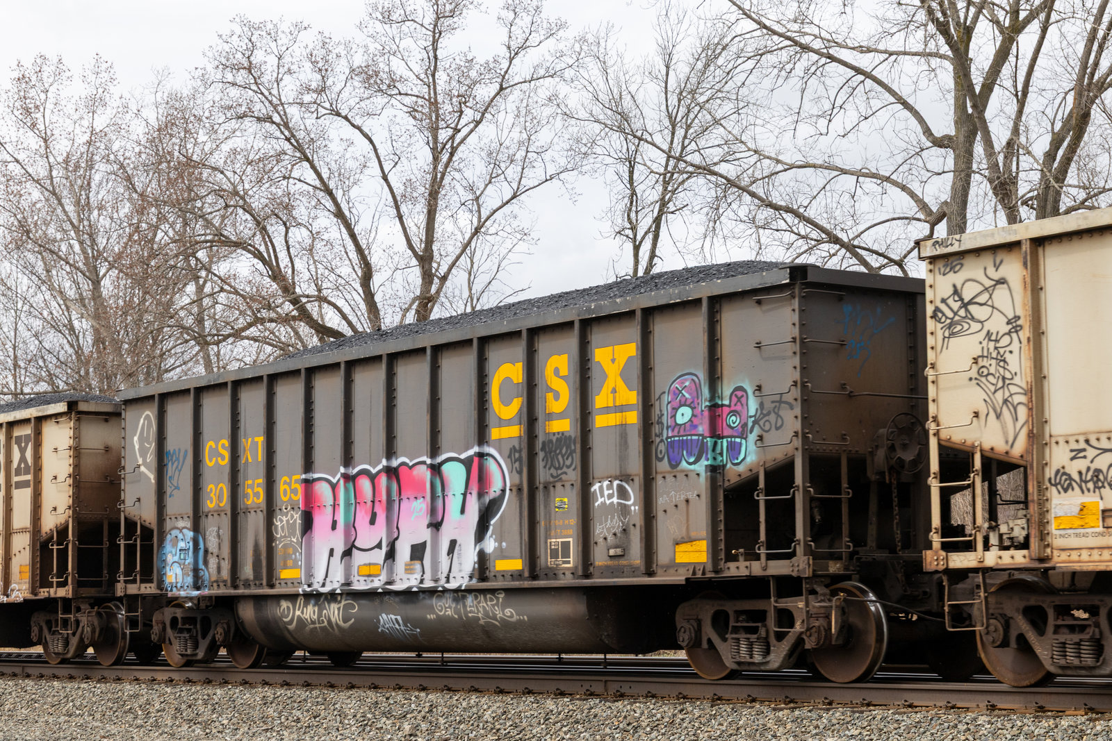 CSXT 305565
