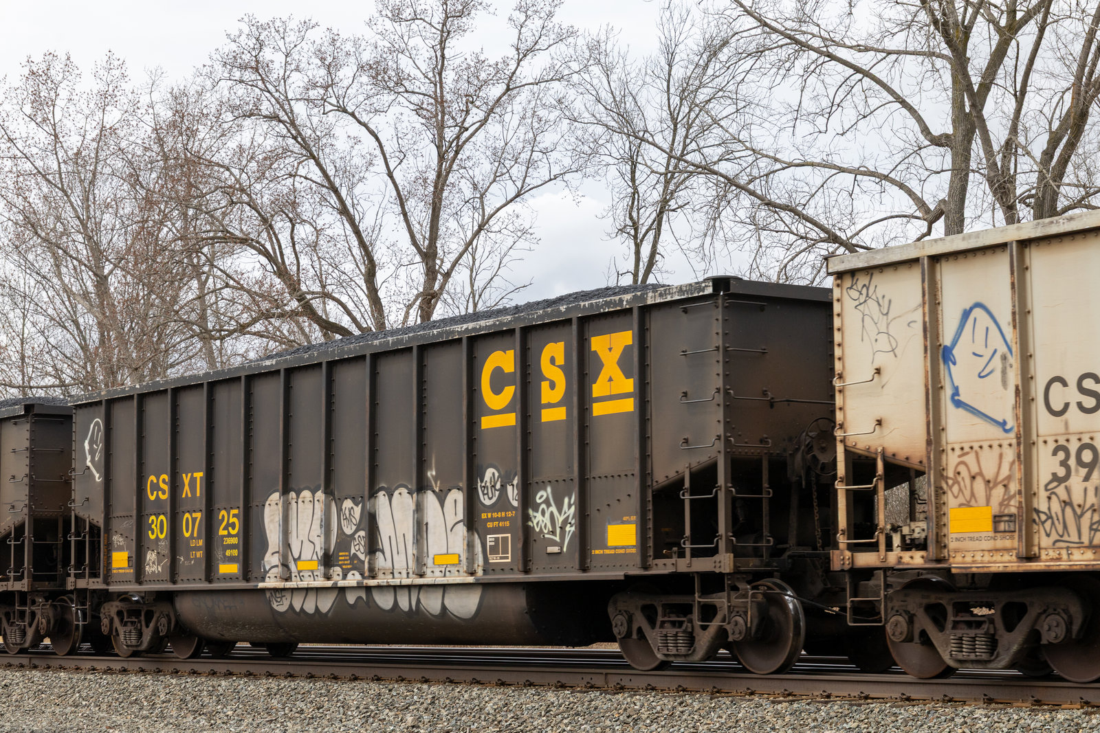 CSXT 300725