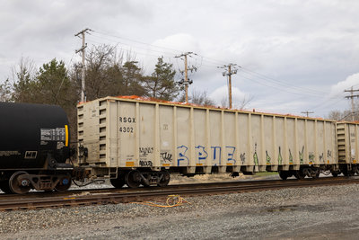 RSGX 4302