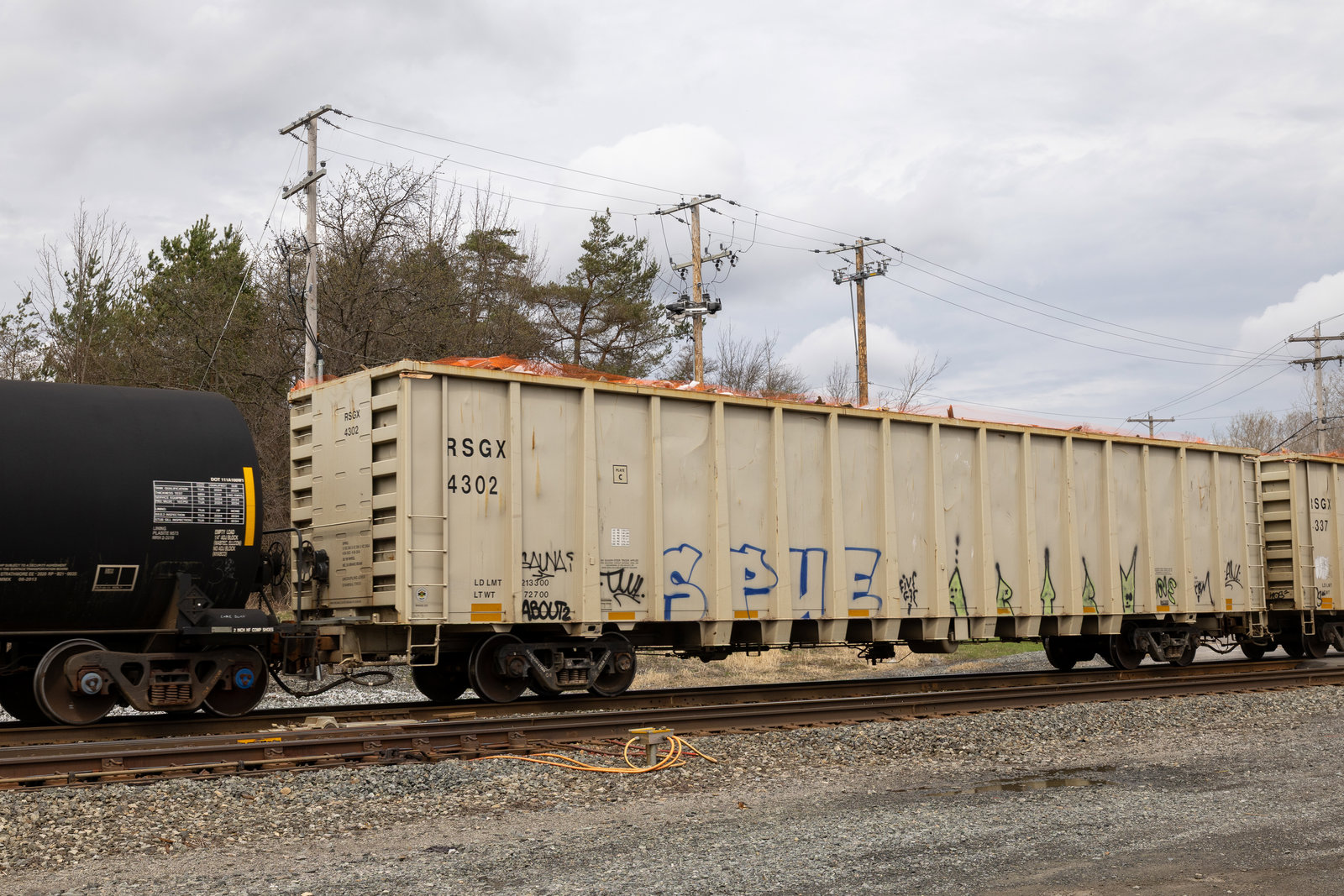 RSGX 4302