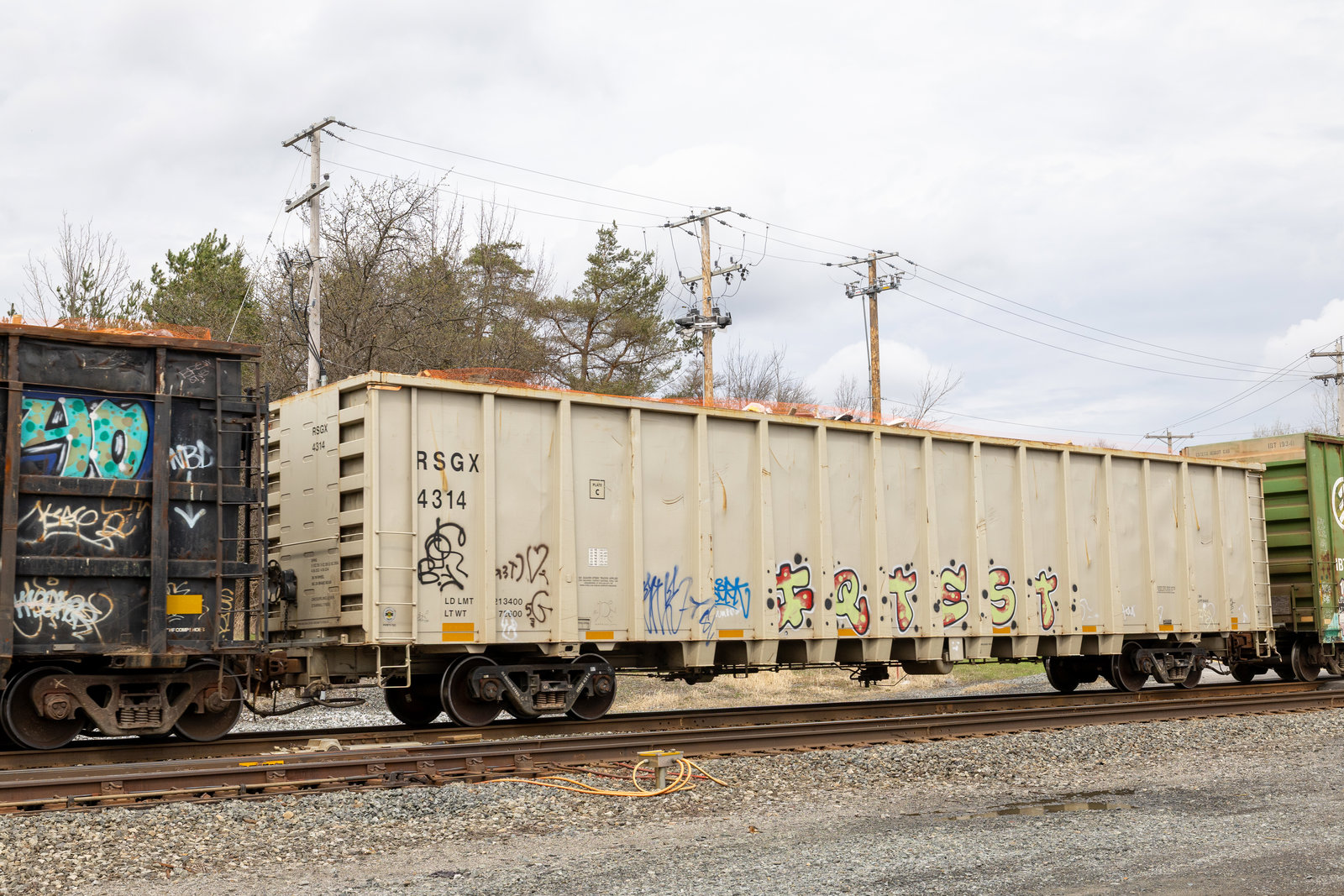 RSGX 4314