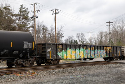 GNTX 297237
