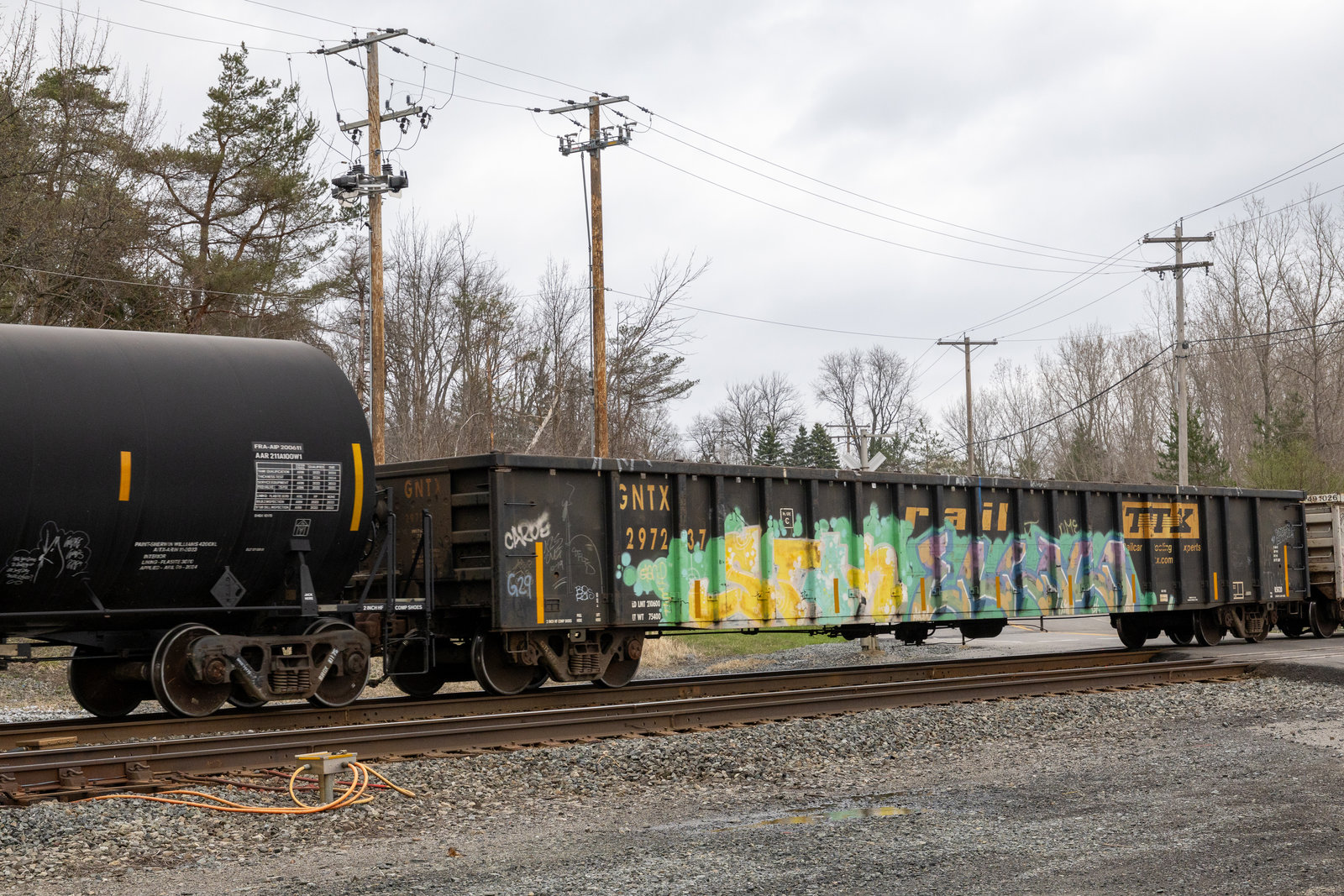 GNTX 297237