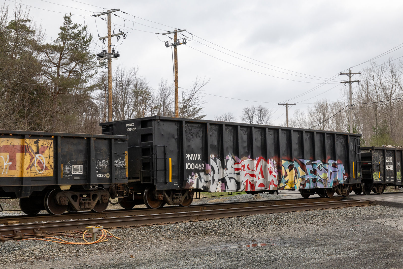 PNWX 100462