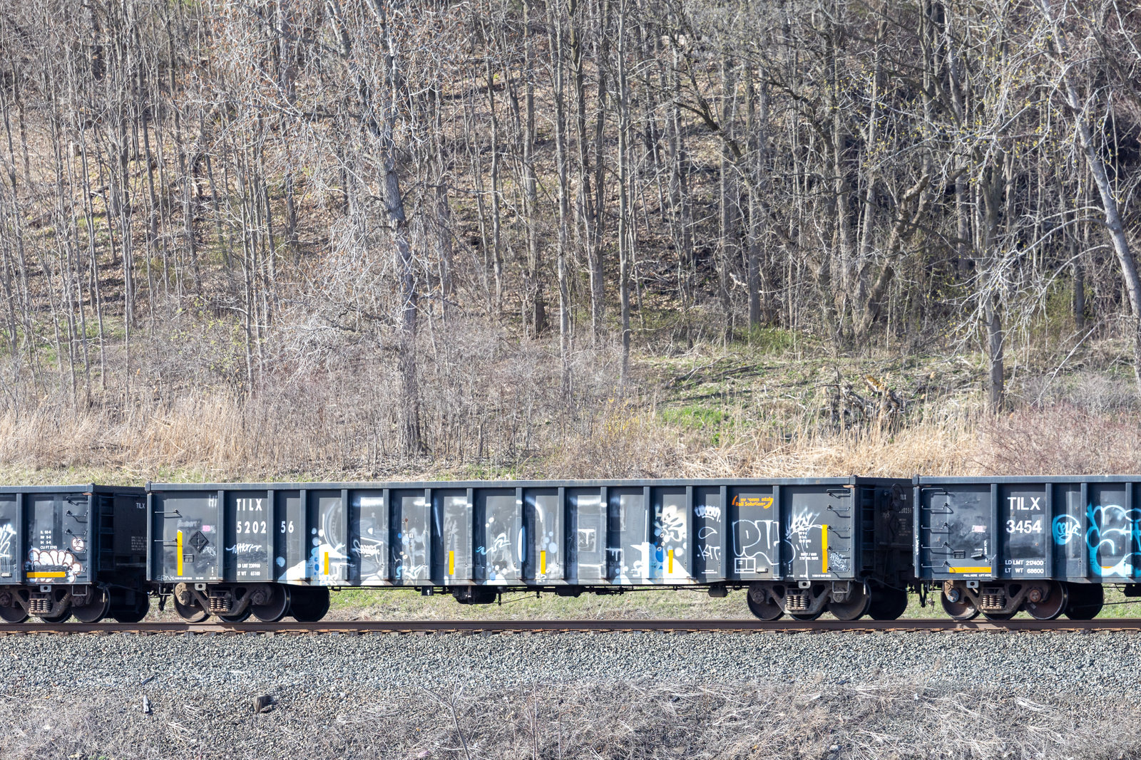 TILX 520256
