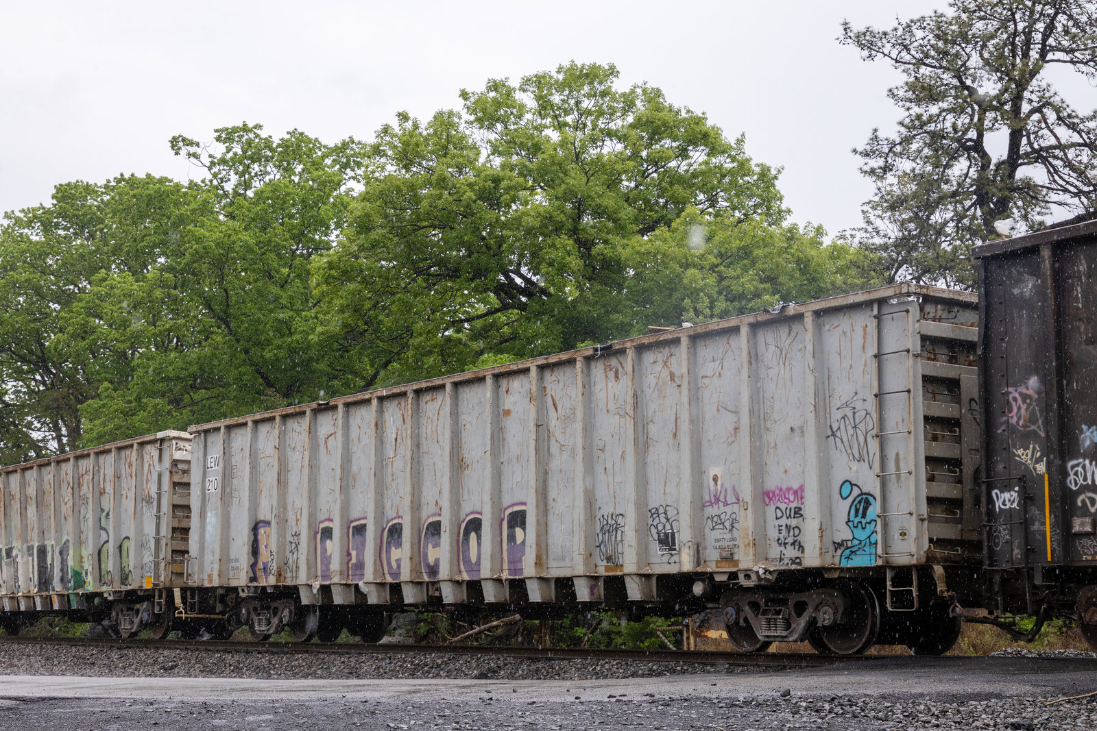 LEWX 2109