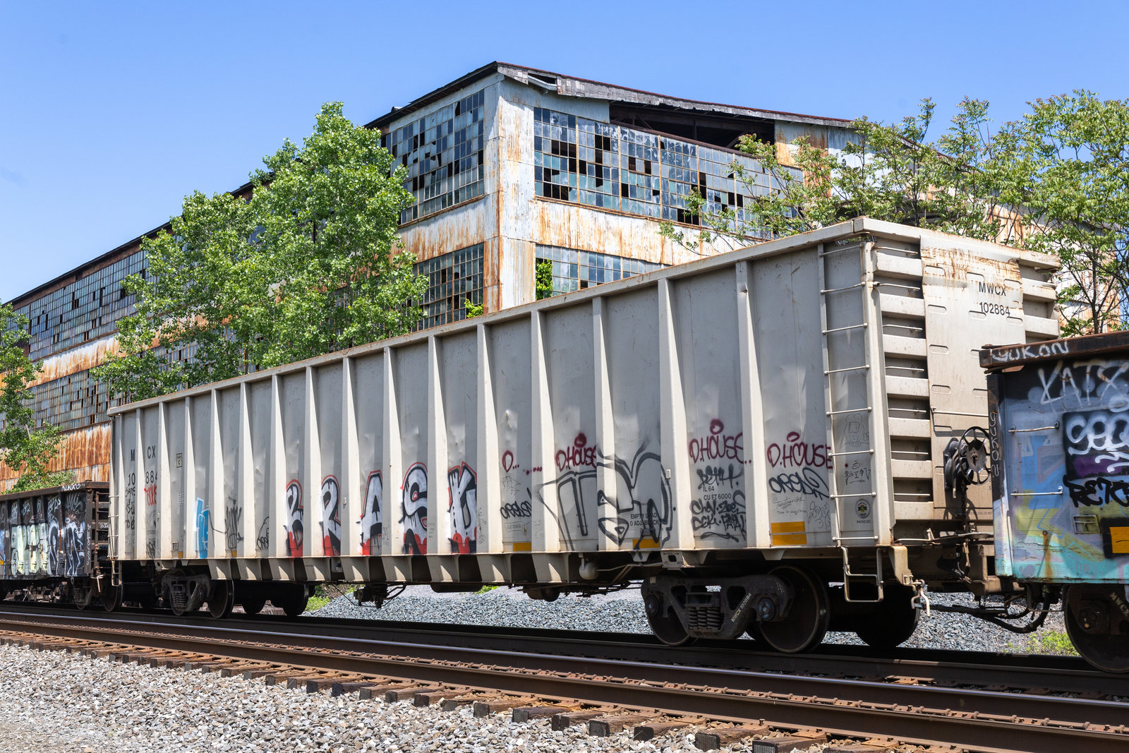 MWCX 102884