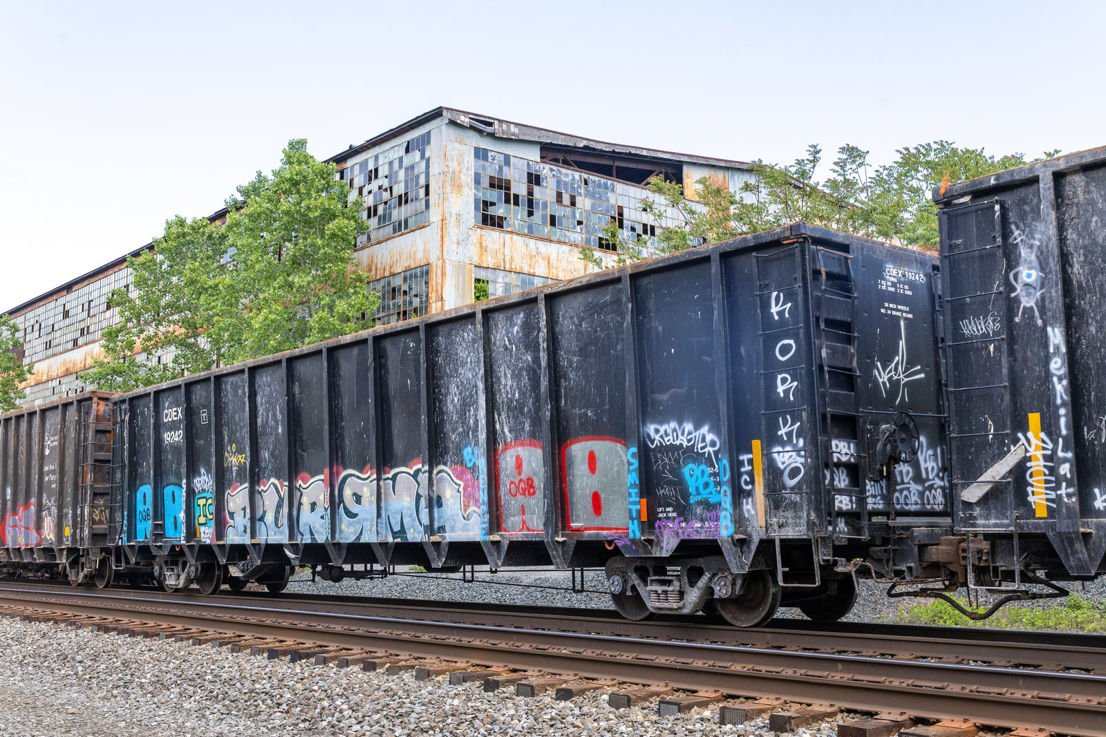 CDEX 19242