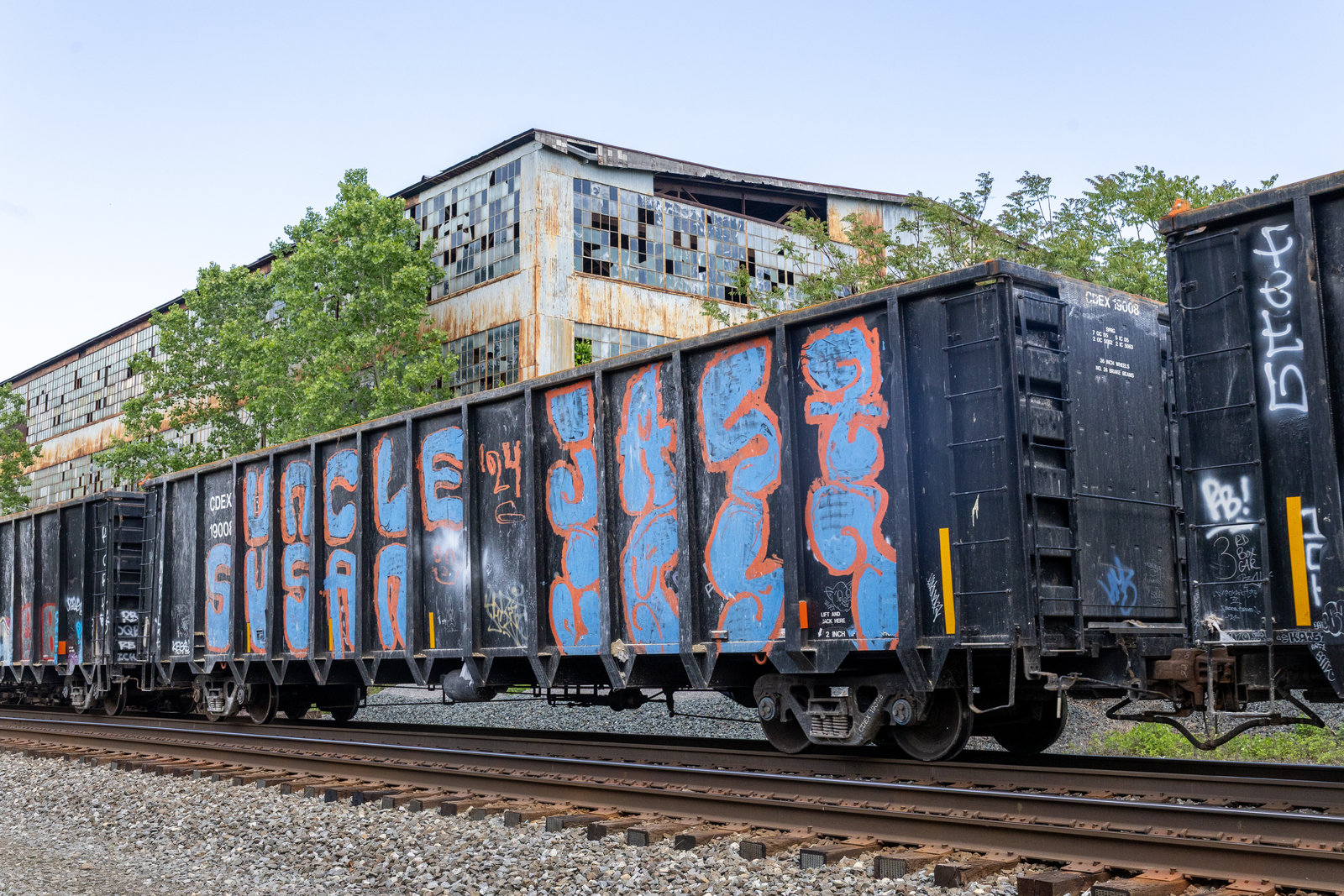 CDEX 19008