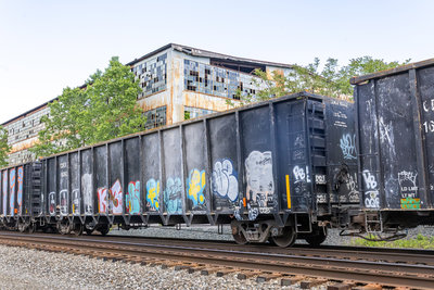 CDEX 19243