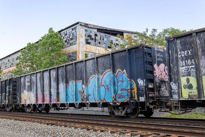 CDEX 19050