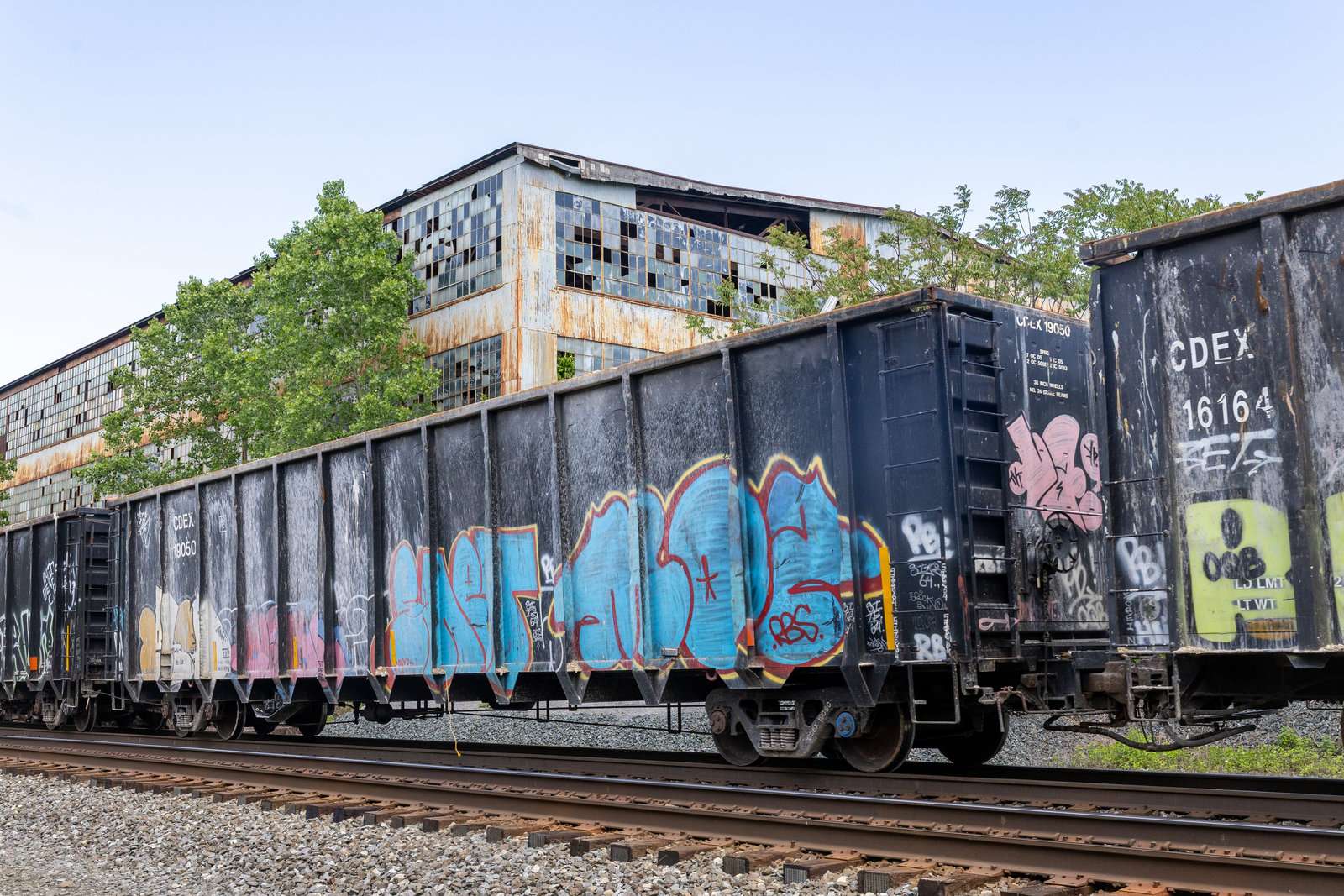 CDEX 19050