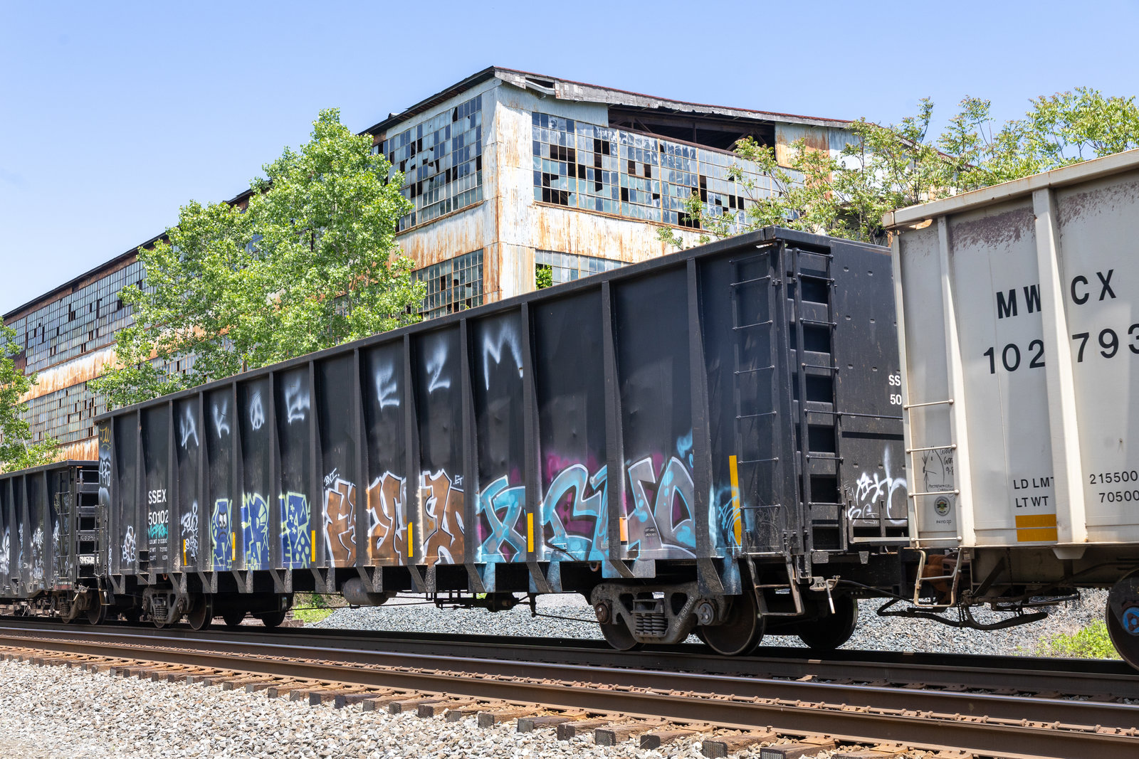 SSEX 50102x