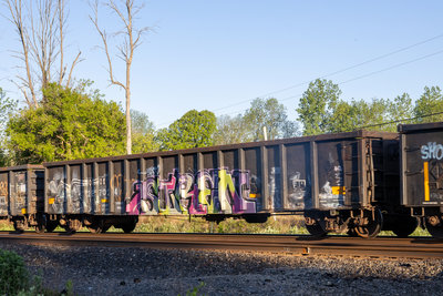 OFOX 287024