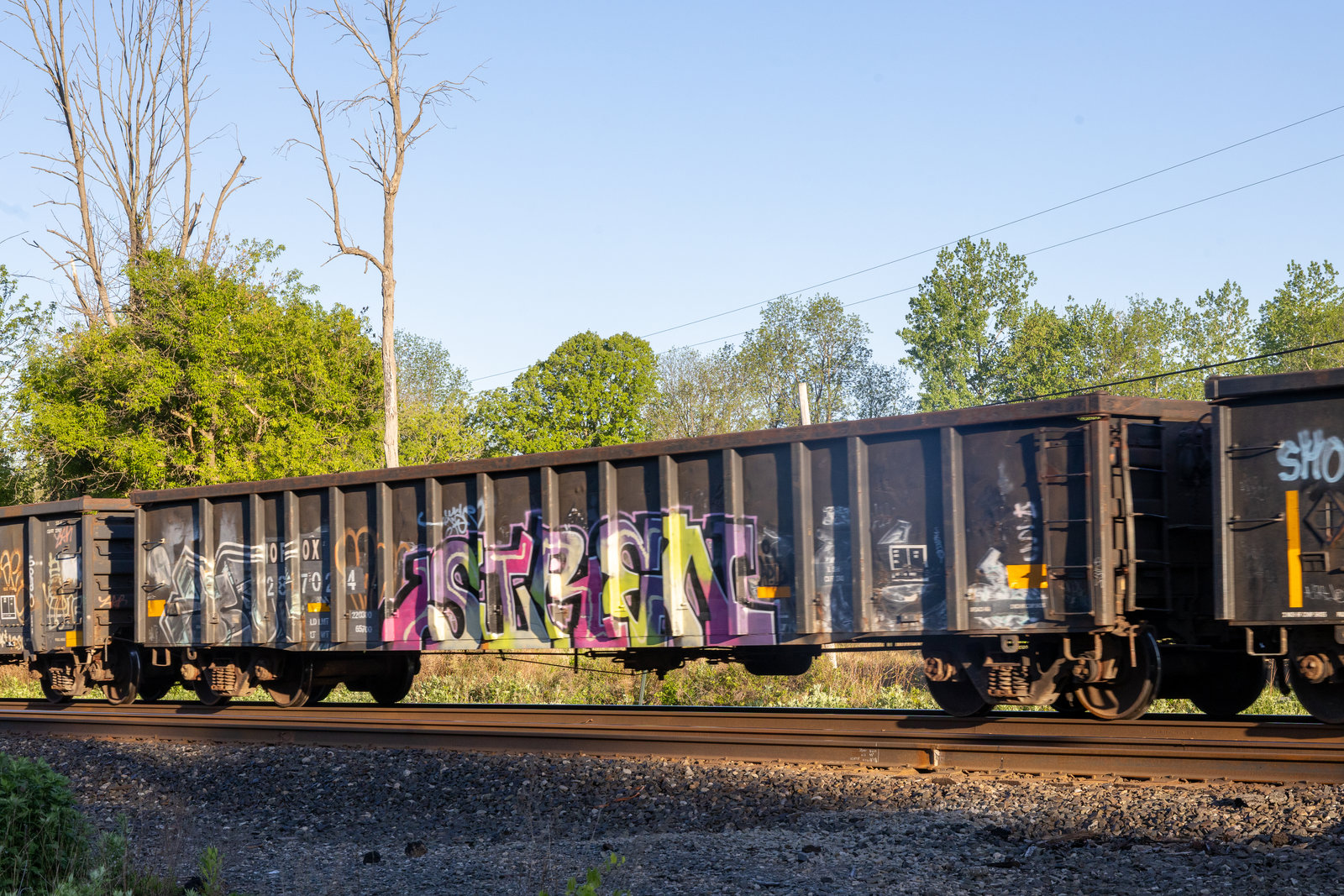 OFOX 287024
