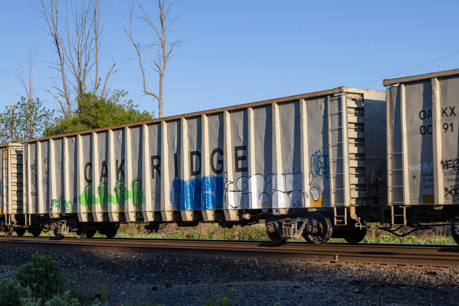 OAKX 0058