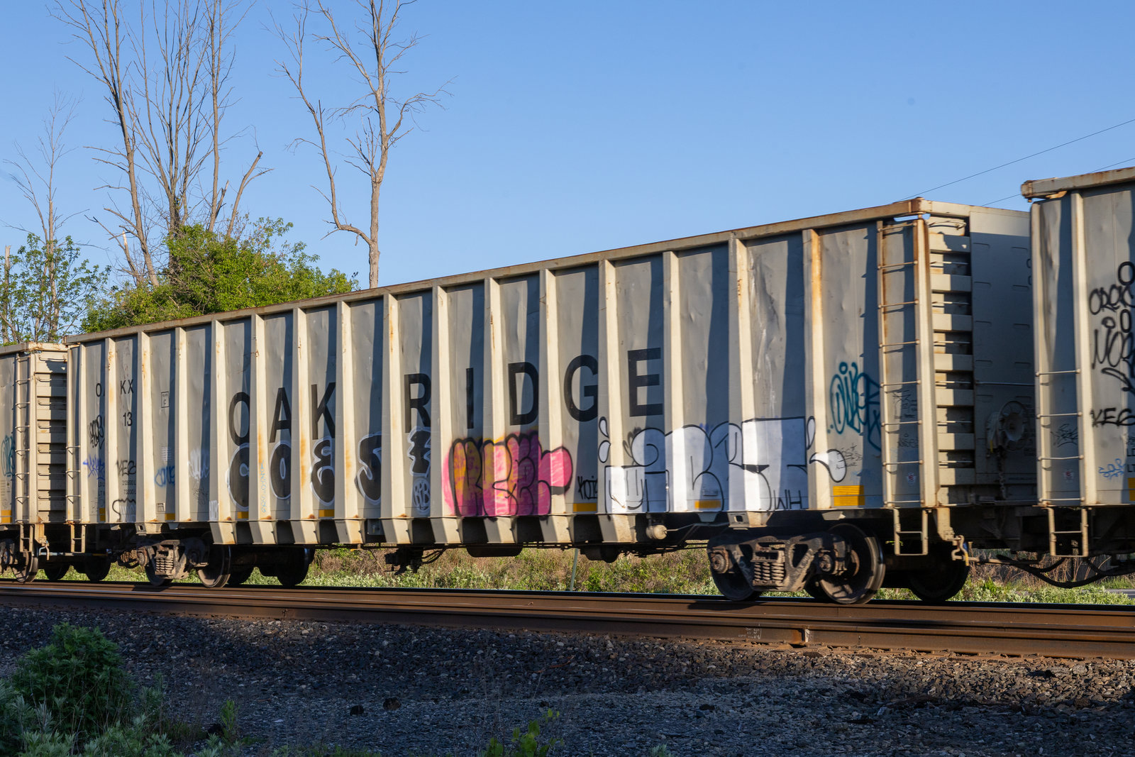 OAKX 0013