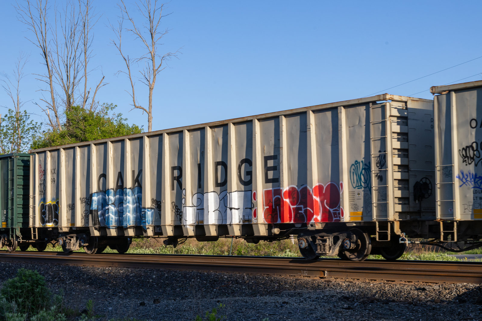 OAKX 0099